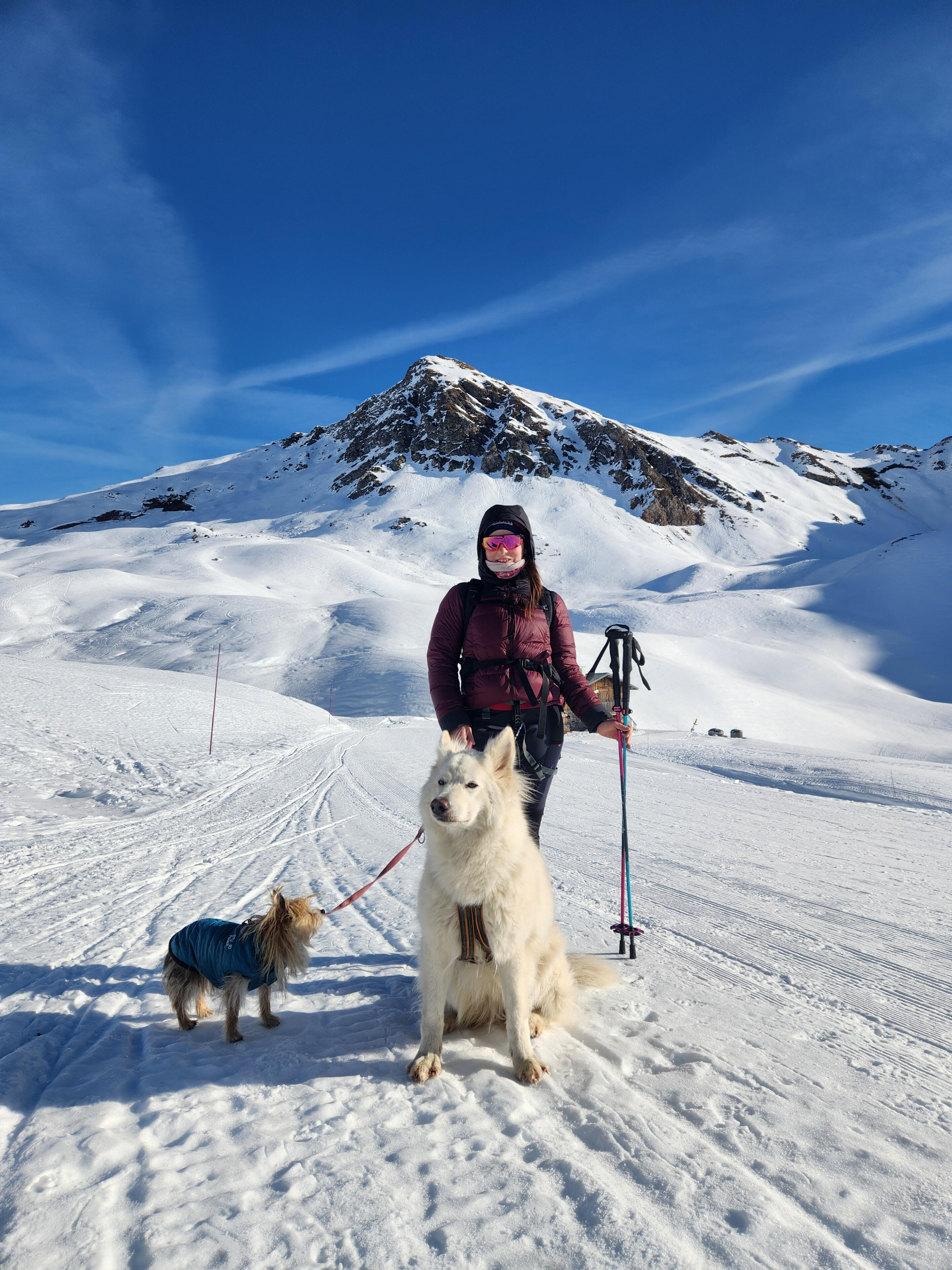 Sakapuce - Petsitter chiens et chats en Savoie Albertville
